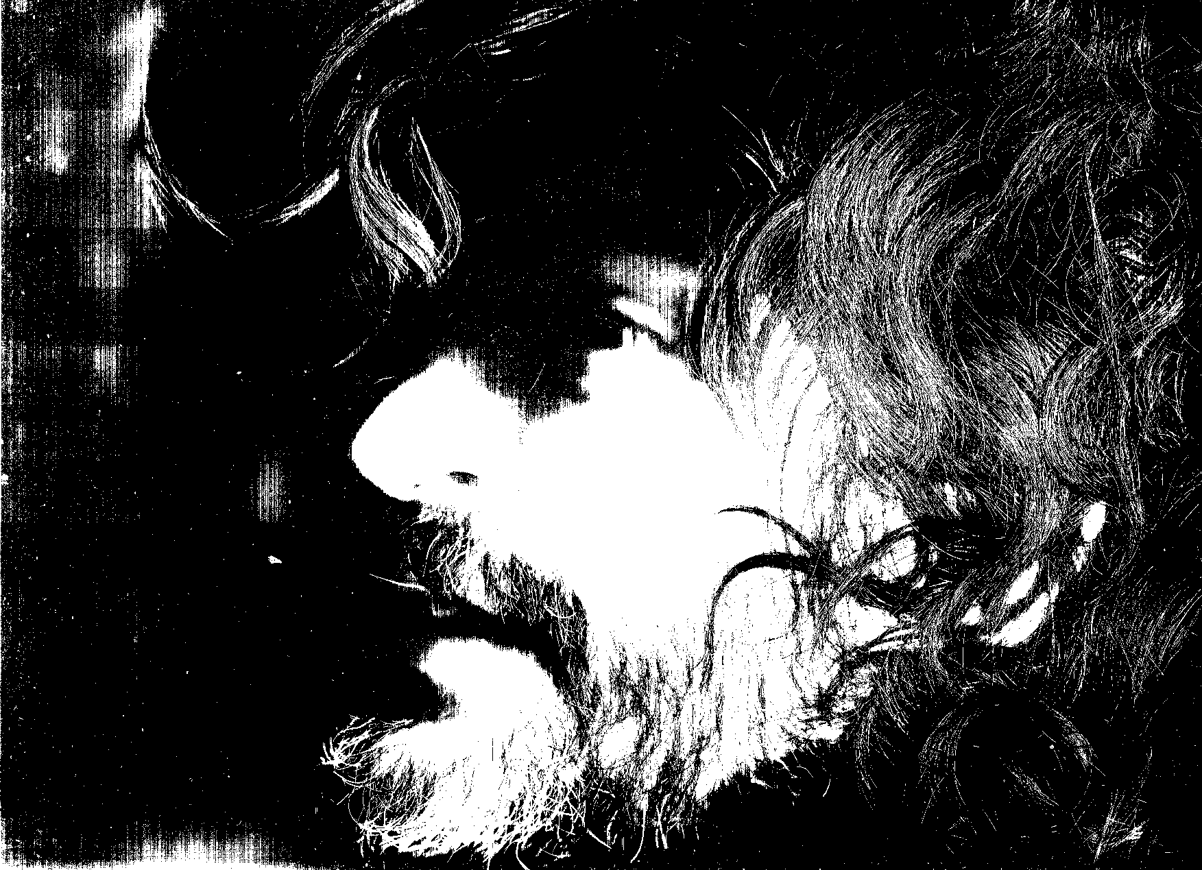 Juan Ignacio Colombo - Autoretrato 1